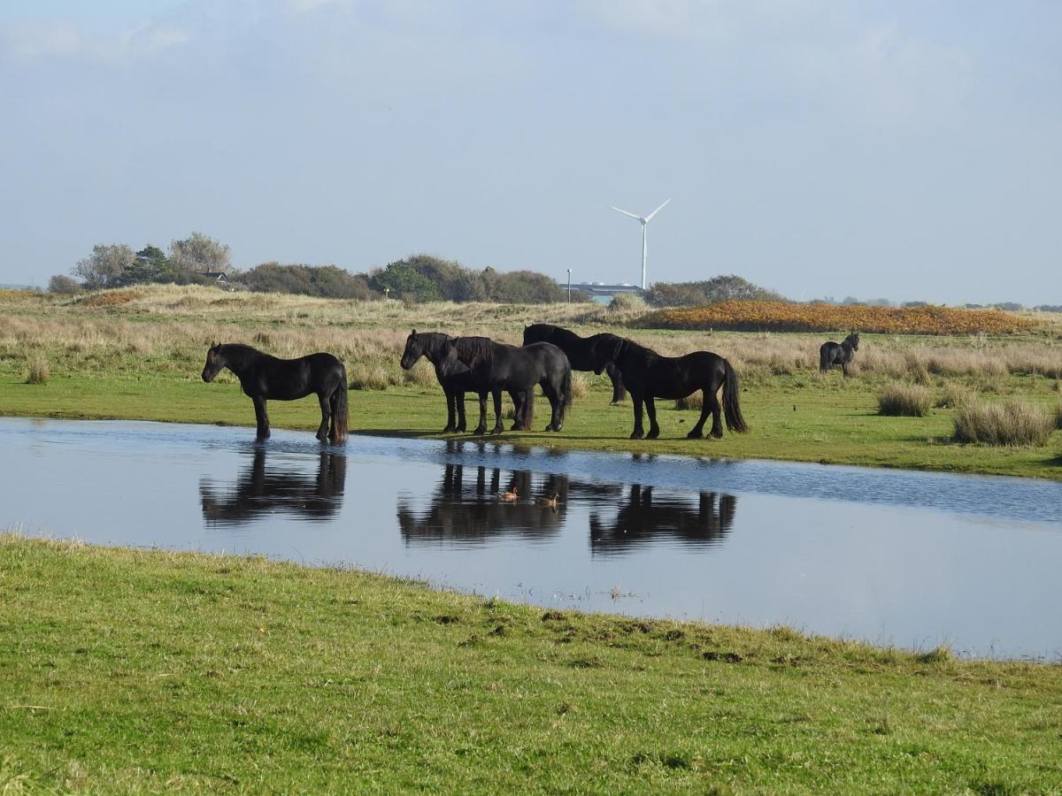 De Hut, In Natuurgebied En Vlakbij Het Strand คัลลันท์สโอก ภายนอก รูปภาพ